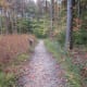 Turnback Trail, which connects to the Pinnacle Trail.
