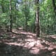 crowders-mountain-state-park