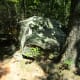 Sights while hiking along The Pinnacle Trail Crowders Mountain State Park Kings Mountain, NC