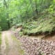 Summer time on the Ridgeline Trail Crowders Mountain State Park Kings Mountain, NC