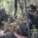 Sights while hiking along The Pinnacle Trail Crowders Mountain State Park Kings Mountain, NC