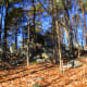 Winter time on the Ridgeline Trail Crowders Mountain State Park Kings Mountain, NC
