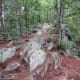 Amazing large rocks along the Rocktop Trail at Crowders Mountain State Park.