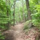 Summer time on the Ridgeline Trail Crowders Mountain State Park Kings Mountain, NC