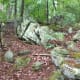Summer time on the Ridgeline Trail Crowders Mountain State Park Kings Mountain, NC