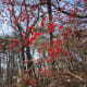 Winter time on the Ridgeline Trail Crowders Mountain State Park Kings Mountain, NC