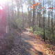 Winter time on the Ridgeline Trail Crowders Mountain State Park Kings Mountain, NC