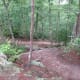 Stairs leading down towards Backside Trail / Linwood Road Access.