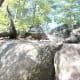 As you hike up The Pinnacle Trail, straight ahead as seen in this photo are the large boulders to climb to get to the views. It's not as bad as it looks!