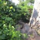 Here is a scene from atop The King's Pinnacle Crowders Mountain State Park Kings Mountain, NC
