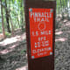 Sights while hiking along The Pinnacle Trail Crowders Mountain State Park Kings Mountain, NC