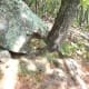 crowders-mountain-state-park
