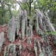 Amazing large rocks along the Rocktop Trail at Crowders Mountain State Park.