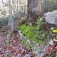 Winter time on the Ridgeline Trail Crowders Mountain State Park Kings Mountain, NC