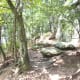 As you hike up The Pinnacle Trail, straight ahead as seen in this photo are the large boulders to climb to get to the views. It's not as bad as it looks!