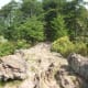 Here is a scene from atop The King's Pinnacle Crowders Mountain State Park Kings Mountain, NC