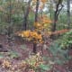 crowders-mountain-state-park