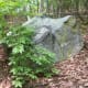 Summer time on the Ridgeline Trail Crowders Mountain State Park Kings Mountain, NC