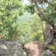 View from The King's Pinnacle Crowders Mountain State Park Kings Mountain, NC