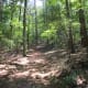 crowders-mountain-state-park
