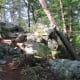 Sights while hiking along The Pinnacle Trail Crowders Mountain State Park Kings Mountain, NC