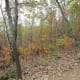 crowders-mountain-state-park