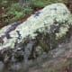 Along the Ridgeline Trail, whether it is summer or winter, this particular rock with the lichen always remains the same! Crowders Mountain State Park Kings Mountain, NC