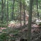 crowders-mountain-state-park