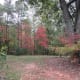 crowders-mountain-state-park