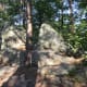 Sights while hiking along The Pinnacle Trail Crowders Mountain State Park Kings Mountain, NC
