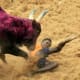 bull-festival-abull-sport-and-bull-worship-in-india