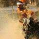 bull-festival-abull-sport-and-bull-worship-in-india