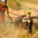 bull-festival-abull-sport-and-bull-worship-in-india
