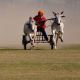bull-festival-abull-sport-and-bull-worship-in-india