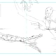 Thumbnail sketch 1