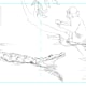 Thumbnail sketch 3