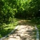 Trail entering the wooded area