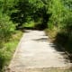 Park Trail