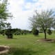 Landscaping in Mason Road Park