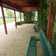 Benches under the trellis