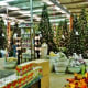 Christmas Time of Year at the nursery