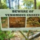 Venomous Snake warning