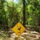 Roadrunner sign