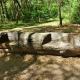 Hand-hewn bench
