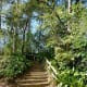 Steps leading up to overlook Cypress Creek & also the gardens
