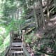 Then come the stairs.
