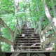 This staircase is close to the bottom of the trail