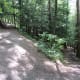 The flat portion gives way to a series of switchbacks on the upper trail.