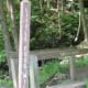 Turkey Path at the Pine Creek Rail Trail