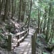 After the switchbacks come the wooden walkways.